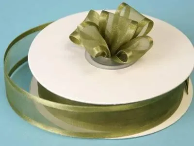 25 Yard 7/8" DIY Willow Green Organza Ribbon With Satin Edges For Craft Dress Wedding